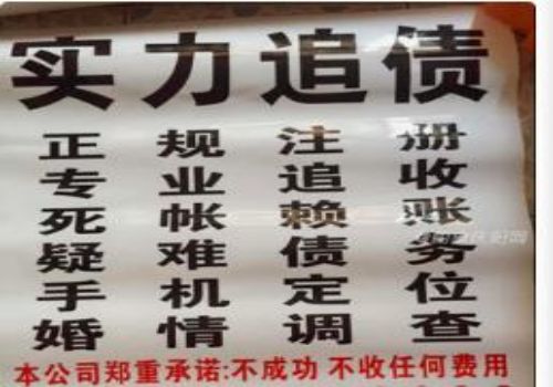 明知没有还款能力还借钱怎么办